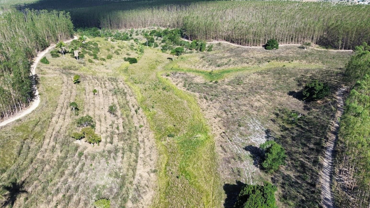 SUZANO ES/BA-Fazenda Santa Fé